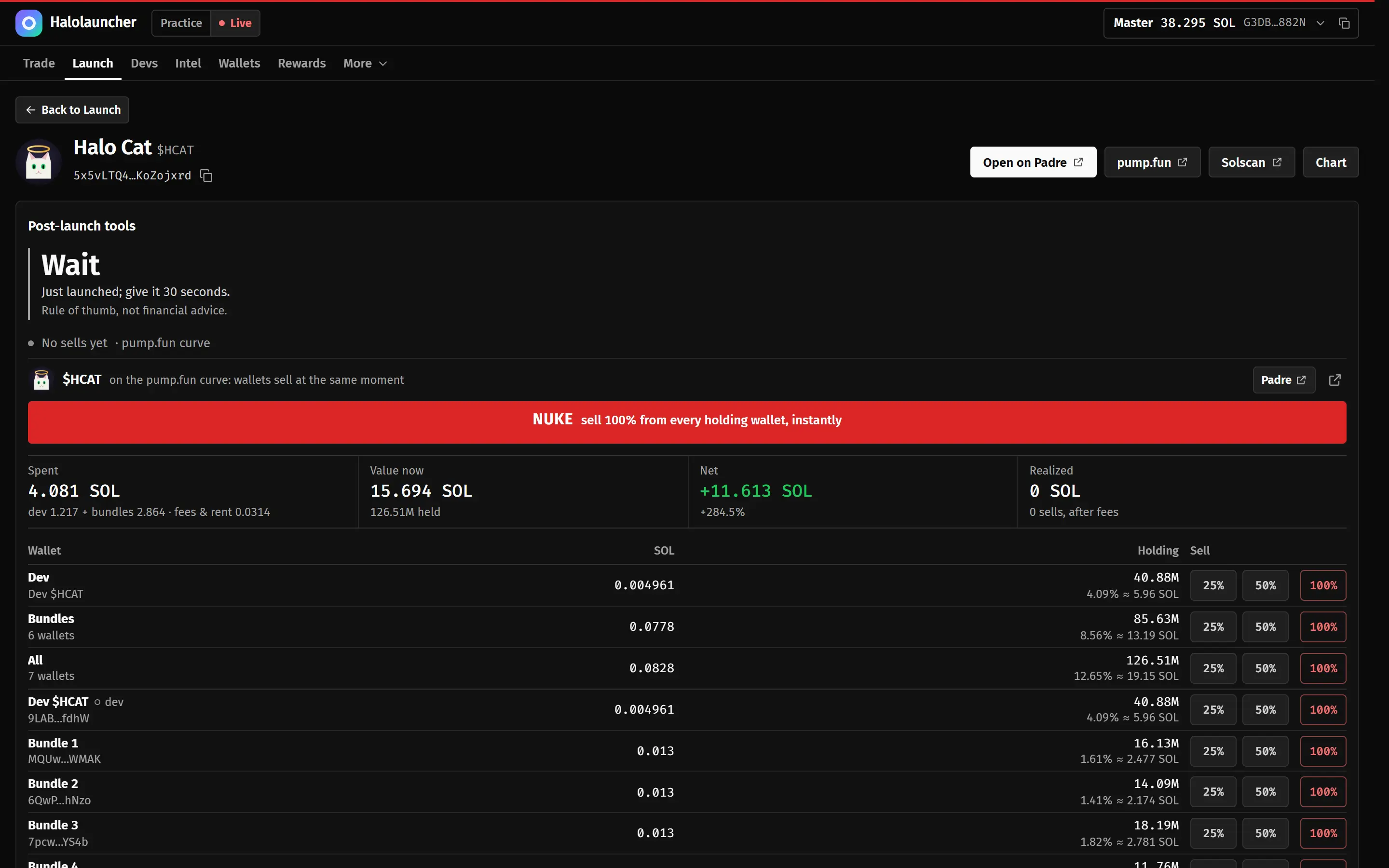 The launched coin's screen: 4.08 SOL spent, 15.69 SOL value now, net +11.61 SOL, the NUKE button and each wallet's holdings.